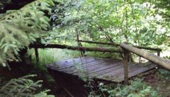 petit pont de bois