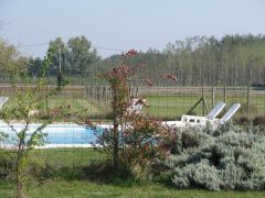 La piscine de La Houeyte