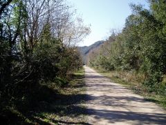 la voie verte qui longe le parc